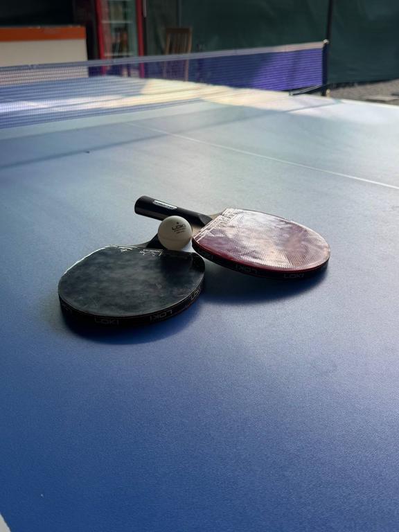 MERGAN Ping Pong — фото 1