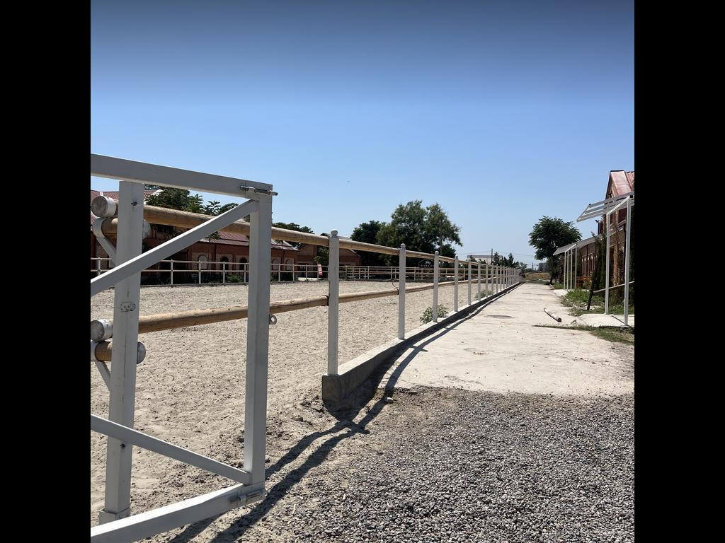 Barlas Horse Club — фото 6