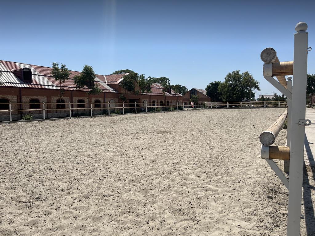 Barlas Horse Club — фото 5