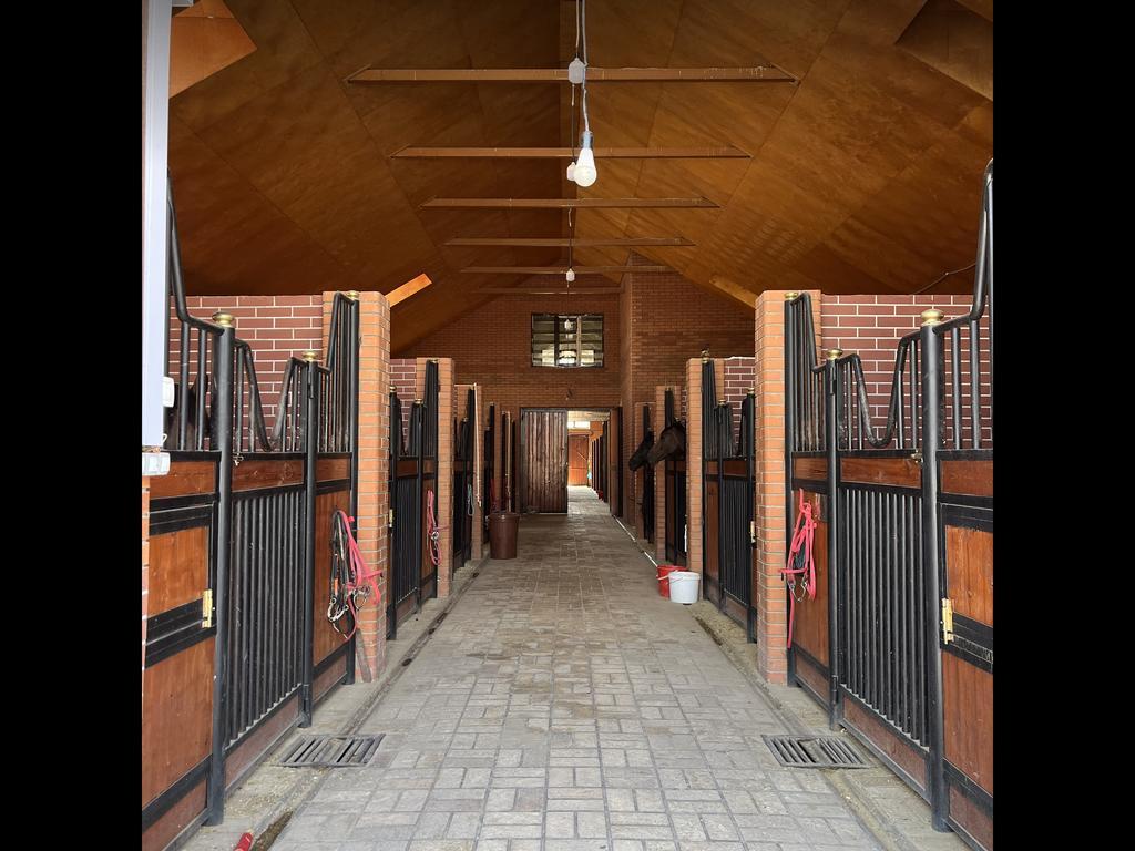 Barlas Horse Club — фото 4