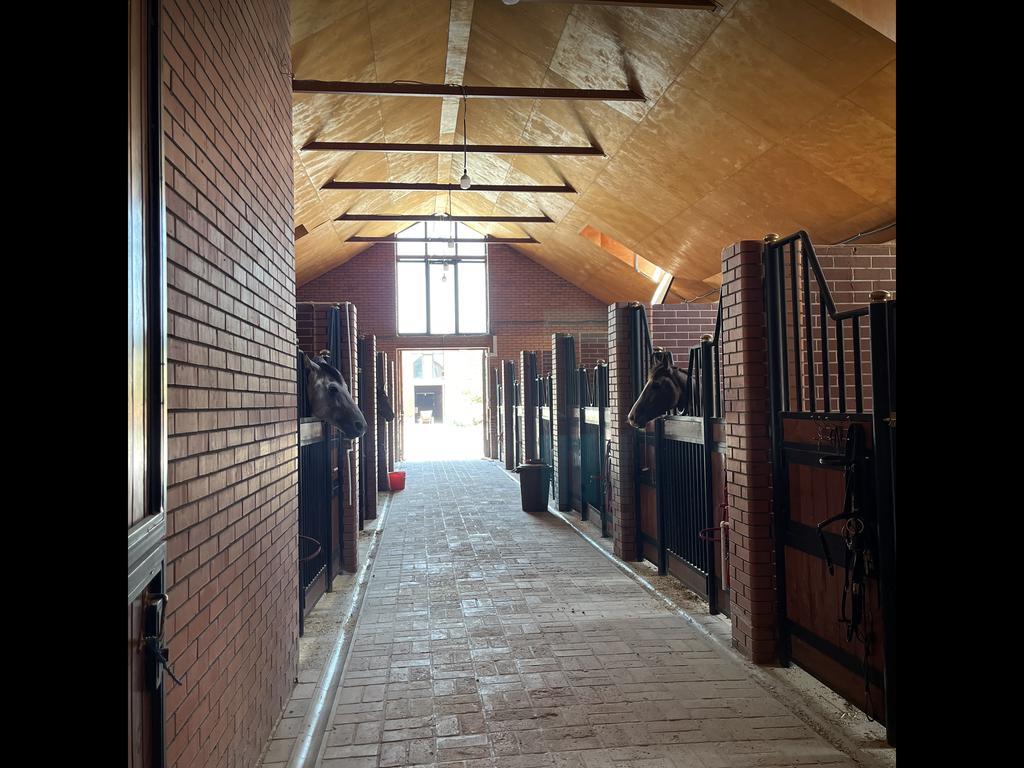 Barlas Horse Club — фото 1