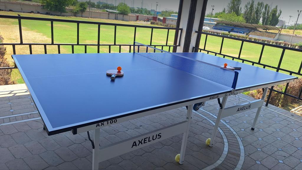 Ping Pong Фазо-Тулпор — фото 1