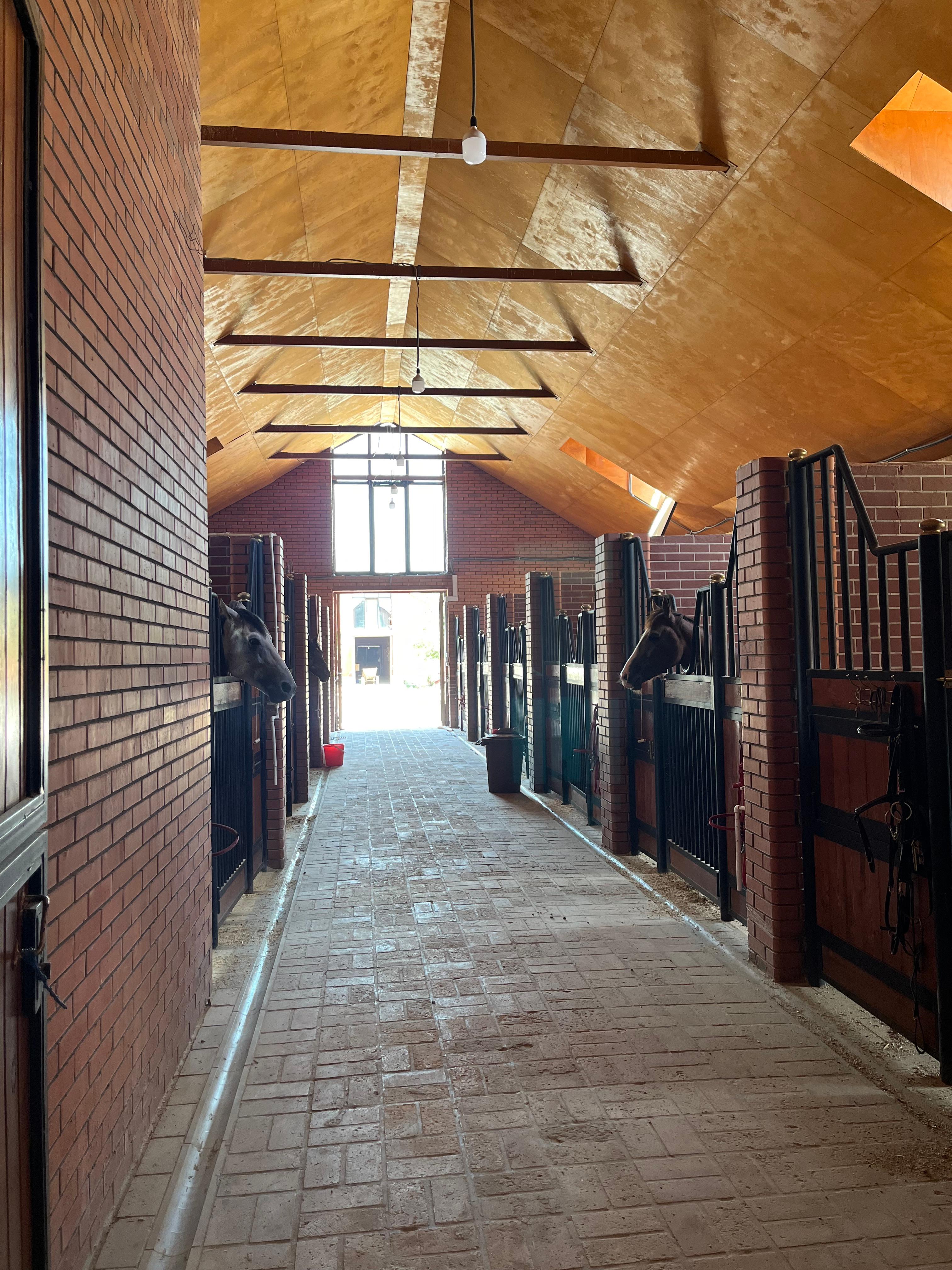 Barlas Horse Club studio image