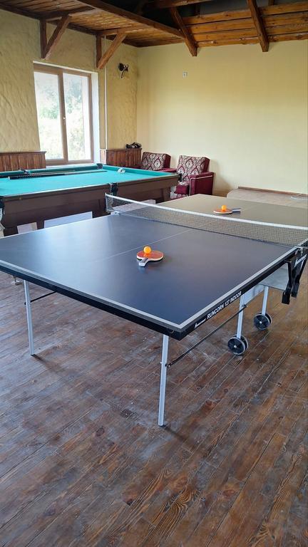 Ping Pong Фазо-Тулпор — фото 3