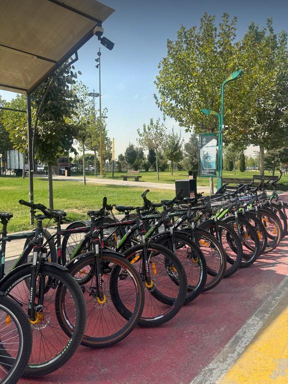 VeloZone - 8 — фото 1