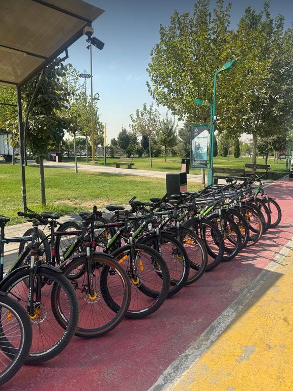 VeloZone - 12 — фото 2
