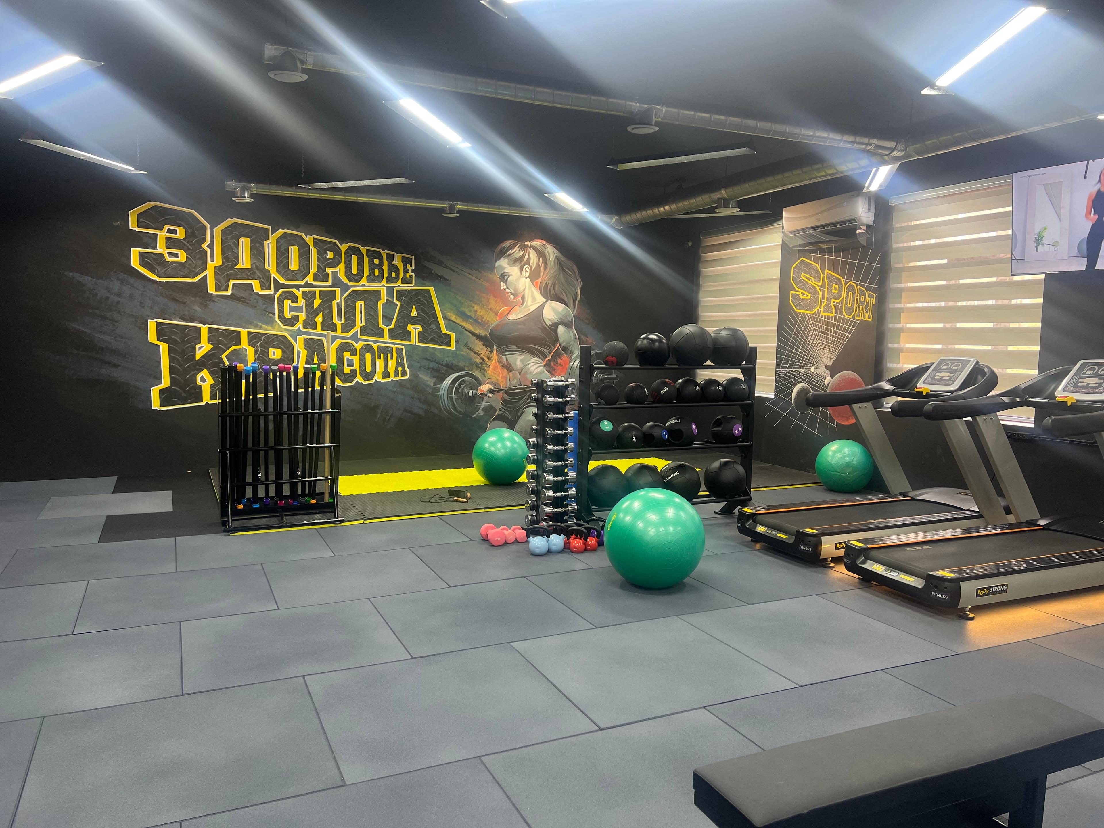 Alpha-Sport studio image