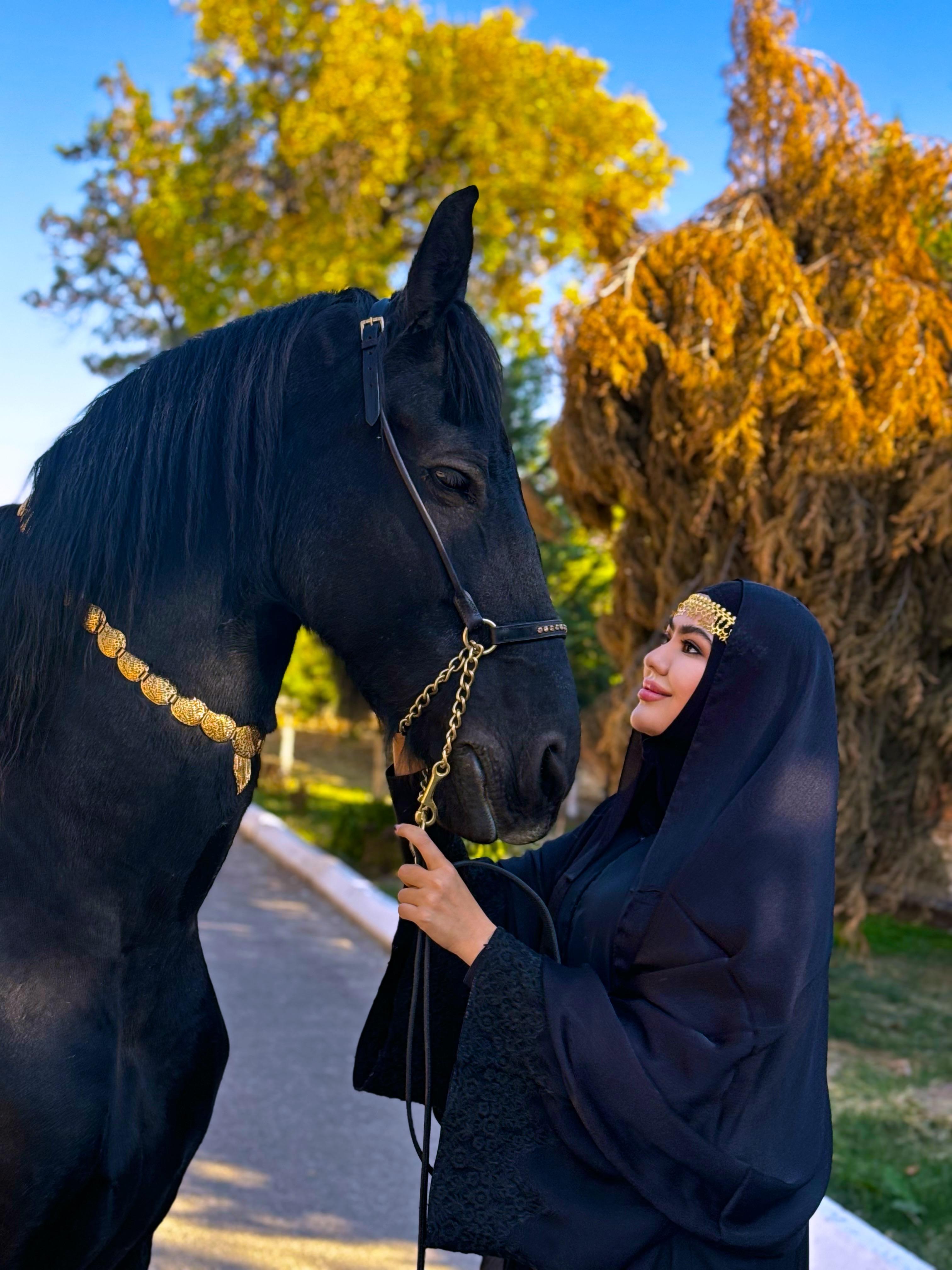 Horse Arena studio image
