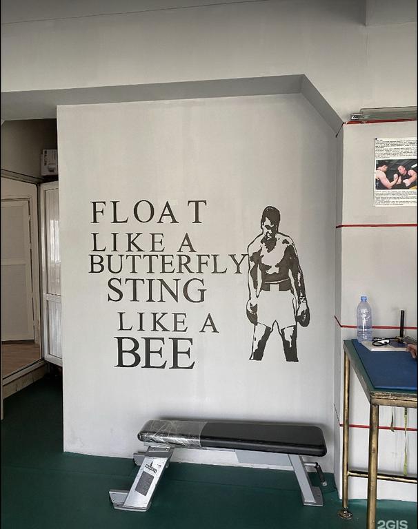 ALI fitness & gym — фото 10