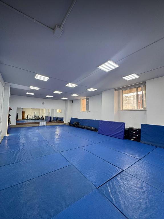 Oidene - Fight (по Тараз 2) — фото 1