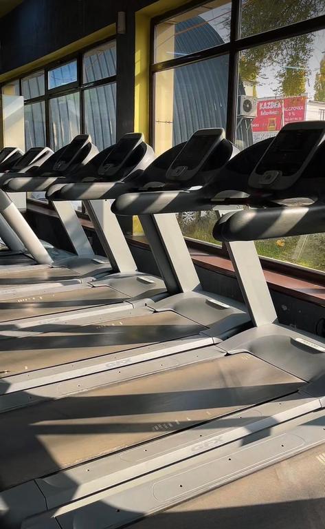 Delfin Gym — фото 4