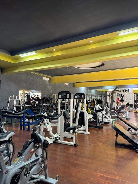 Delfin Gym — фото 3