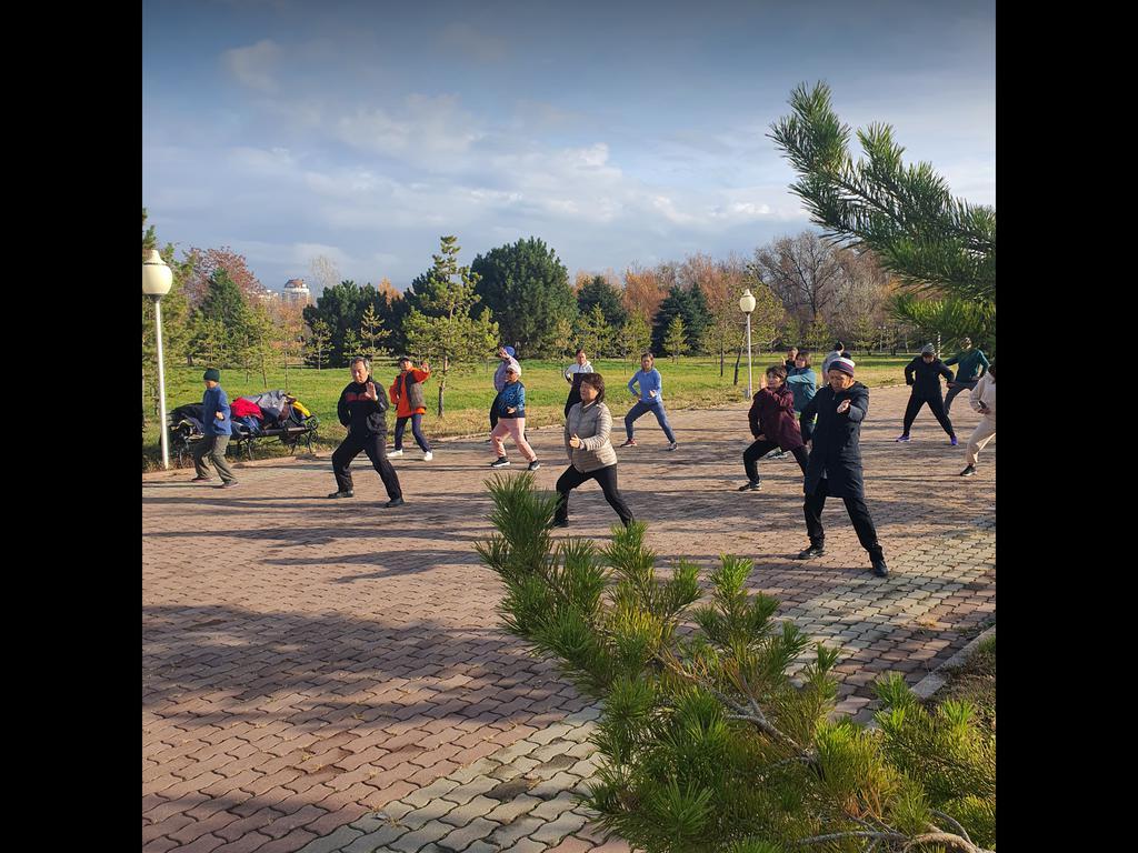 Белый Дракон — фото 1