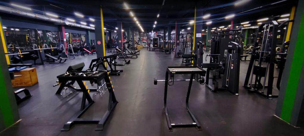 BOSSTANGYM — фото 23