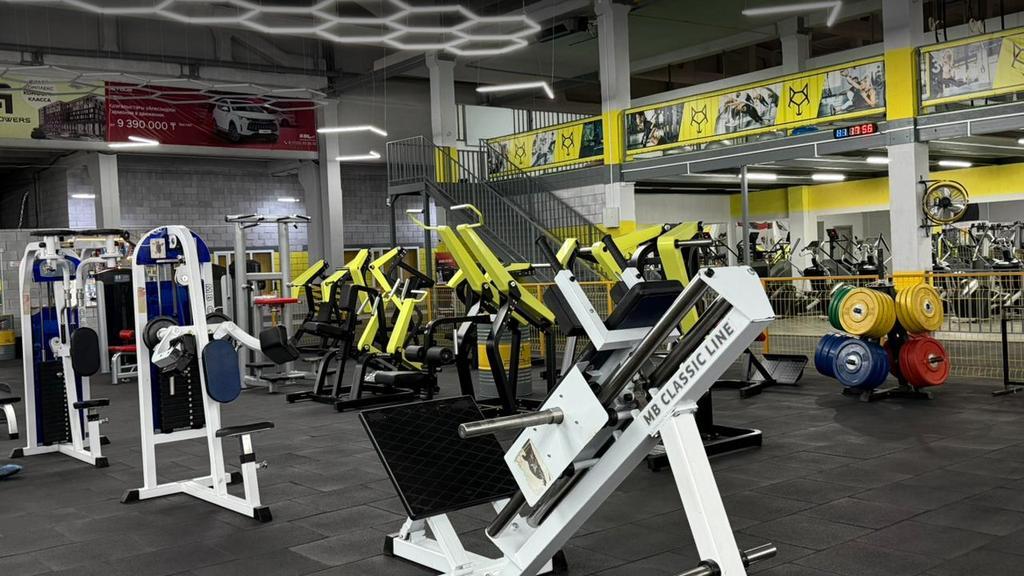 Alpha Gym — фото 17