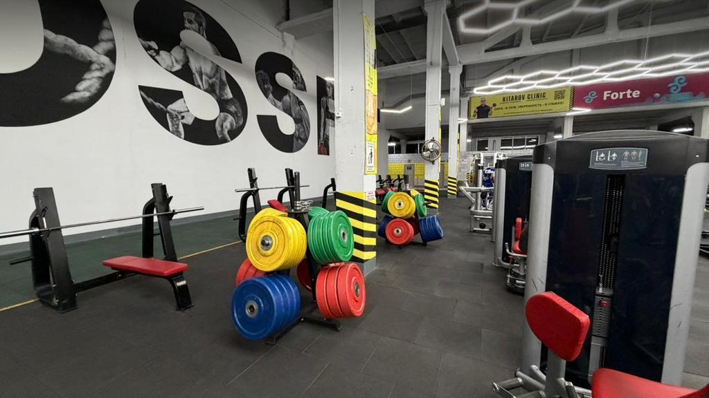 Alpha Gym — фото 16