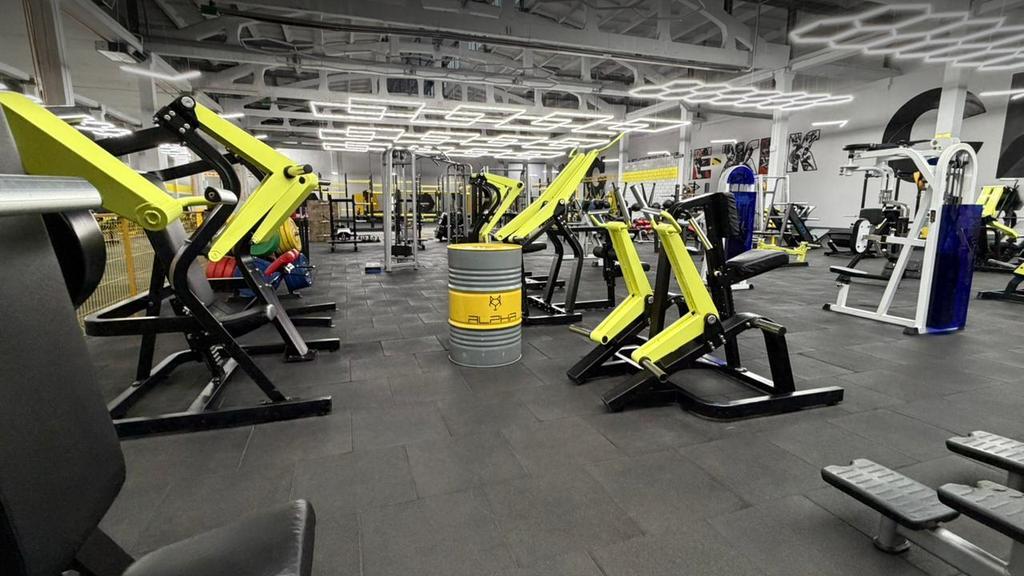 Alpha Gym — фото 10